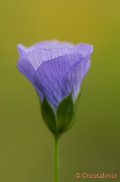 _DSC1961.JPG - Natuurtuin 't Loo