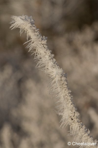 _DSC0031.JPG - Oisterwijkse Vennen en Plassen