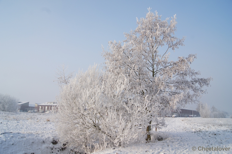 DSC01569.JPG - Winter in de Dongevallei, Reeshof, Tilburg