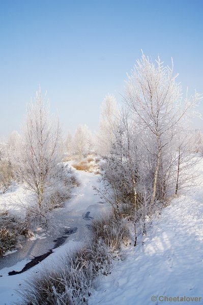 DSC01602.JPG - Winter in de Dongevallei, Reeshof, Tilburg