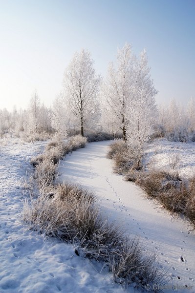 DSC01603.JPG - Winter in de Dongevallei, Reeshof, Tilburg