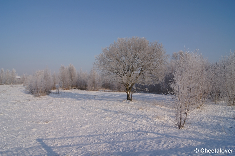 DSC01609.JPG - Winter in de Dongevallei, Reeshof, Tilburg