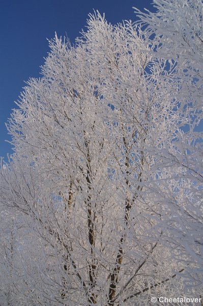 DSC01635.JPG - Winter in de Dongevallei, Reeshof, Tilburg