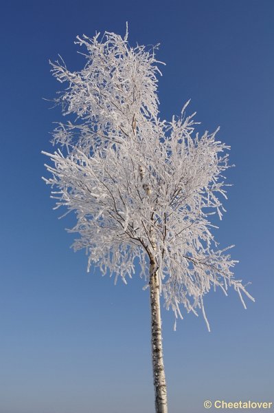 DSC01657.JPG - Winter in de Dongevallei, Reeshof, Tilburg