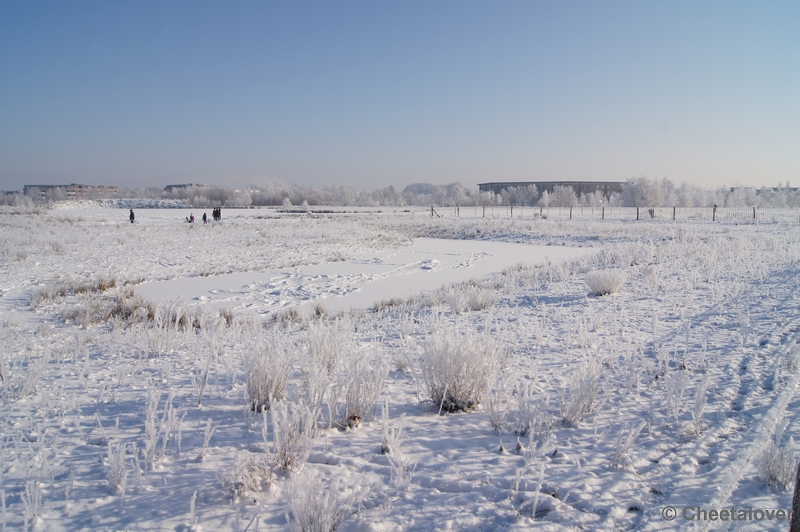 DSC01667.JPG - Winter in de Dongevallei, Reeshof, Tilburg