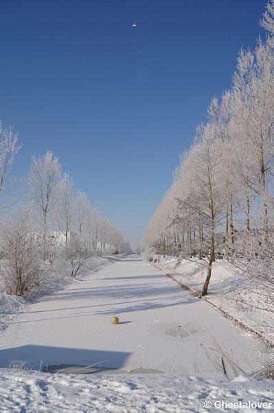 DSC01691.JPG - Winter in de Dongevallei, Reeshof, Tilburg