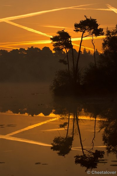 DSC01256.JPG - Zonsopkomst Oisterwijkse Vennen