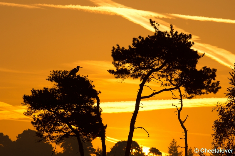 DSC01269.JPG - Zonsopkomst Oisterwijkse Vennen