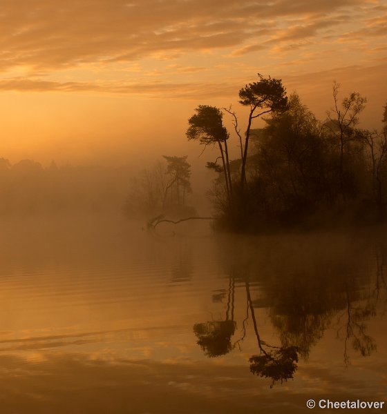 _DSC2188.JPG - Een zonsopkomst aan de Oisterwijkse Vennen en Plassen