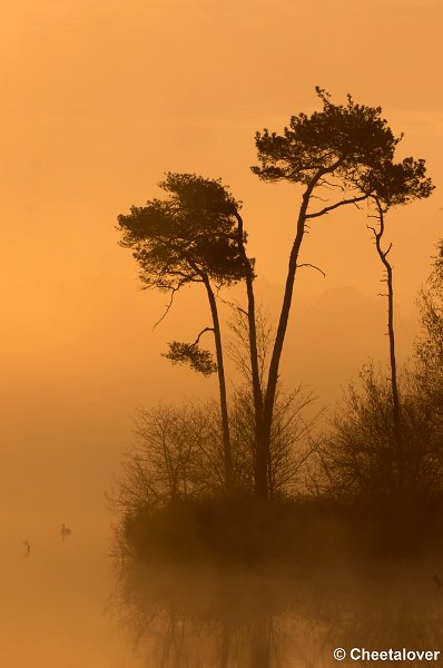 _DSC2209.JPG - Een zonsopkomst aan de Oisterwijkse Vennen en Plassen