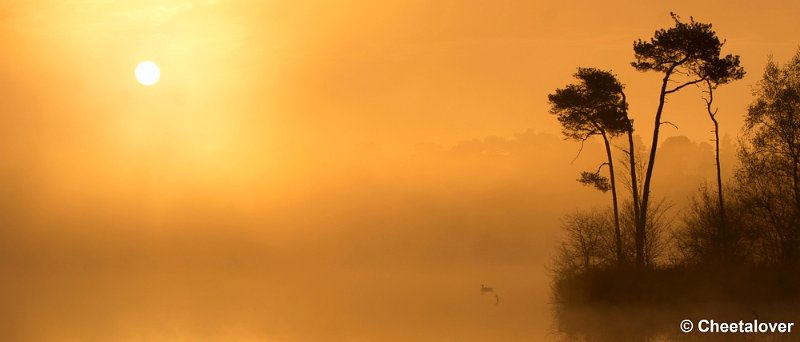 _DSC2213.JPG - Een zonsopkomst aan de Oisterwijkse Vennen en Plassen