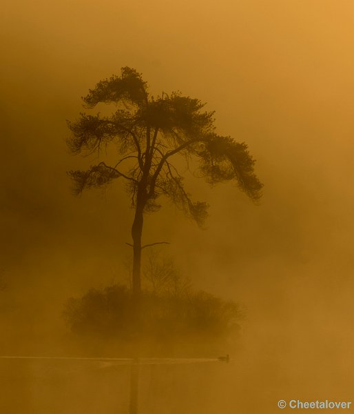 _DSC2251.JPG - Een zonsopkomst aan de Oisterwijkse Vennen en Plassen