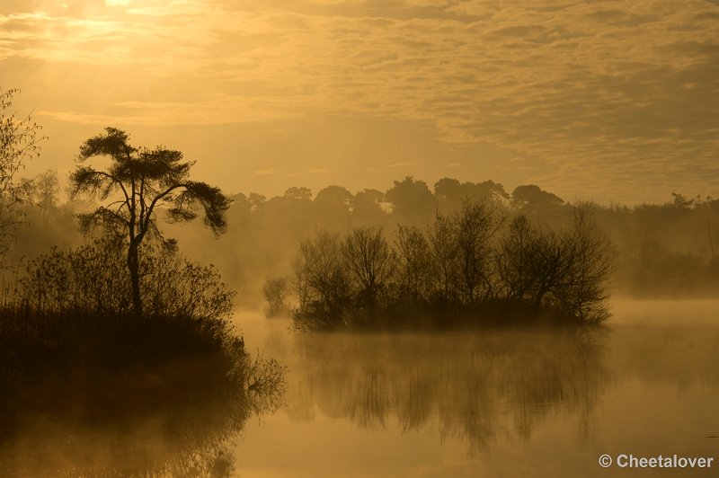 _DSC2258.JPG - Een zonsopkomst aan de Oisterwijkse Vennen en Plassen