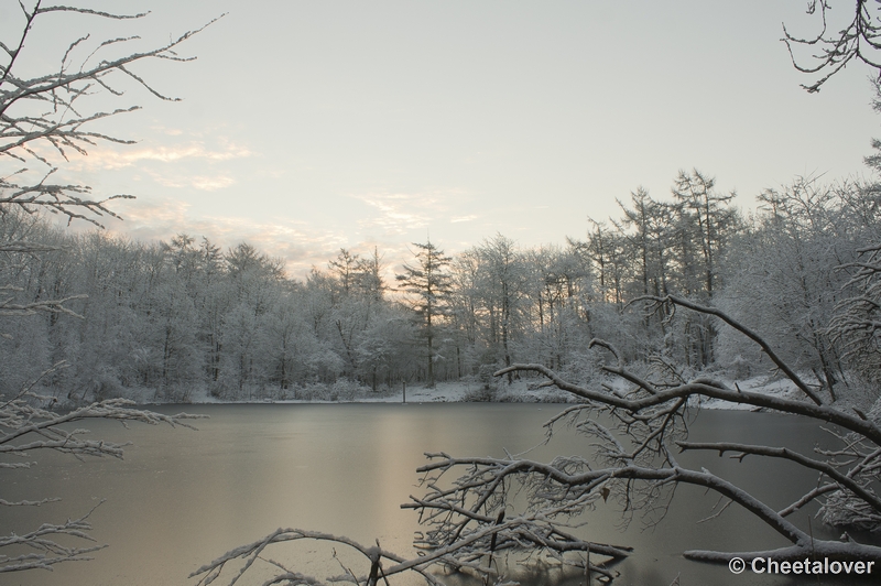 _DSC7294.JPG - Winter in Boswachterij Dorst