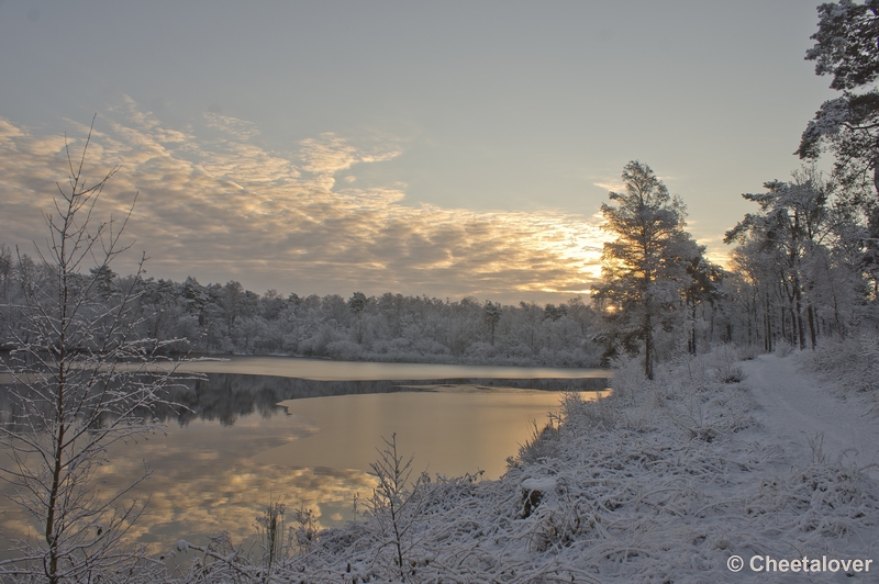 _DSC7318.JPG - Winter in Boswachterij Dorst