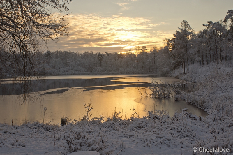 _DSC7324.JPG - Winter in Boswachterij Dorst