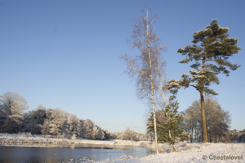 _DSC7354.JPG - Winter in Boswachterij Dorst