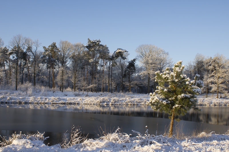 _DSC7363.JPG - Winter in Boswachterij Dorst