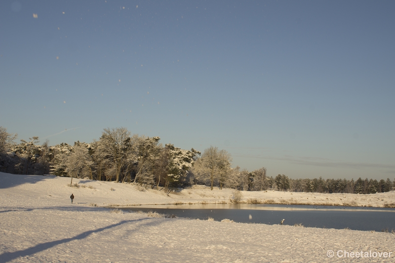 _DSC7382.JPG - Winter in Boswachterij Dorst