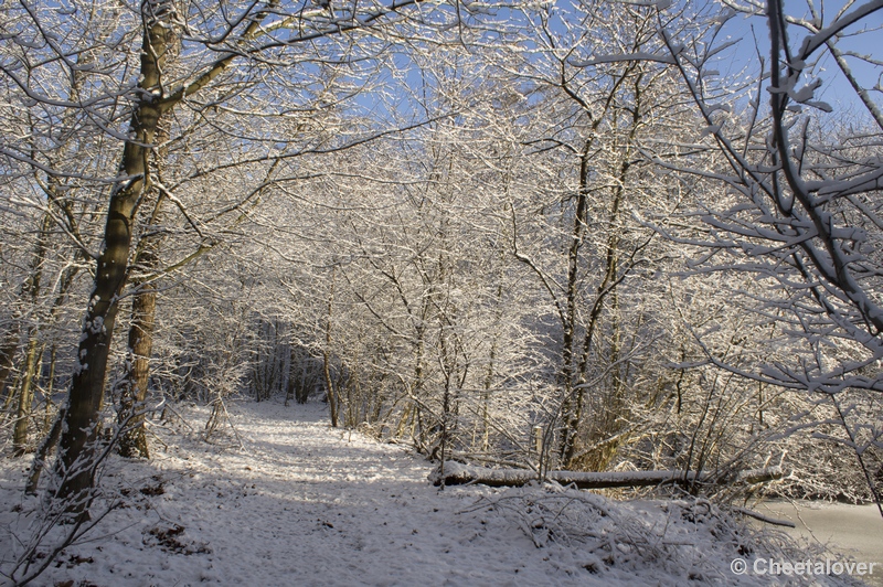 _DSC7438.JPG - Winter in Boswachterij Dorst