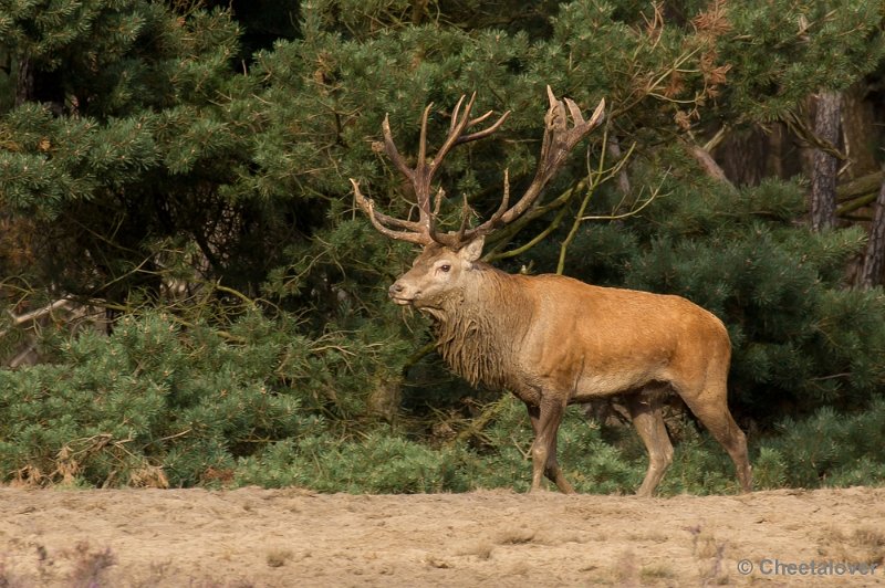 _DSC2966.JPG - Park de Hoge Veluwe, Bronstijd