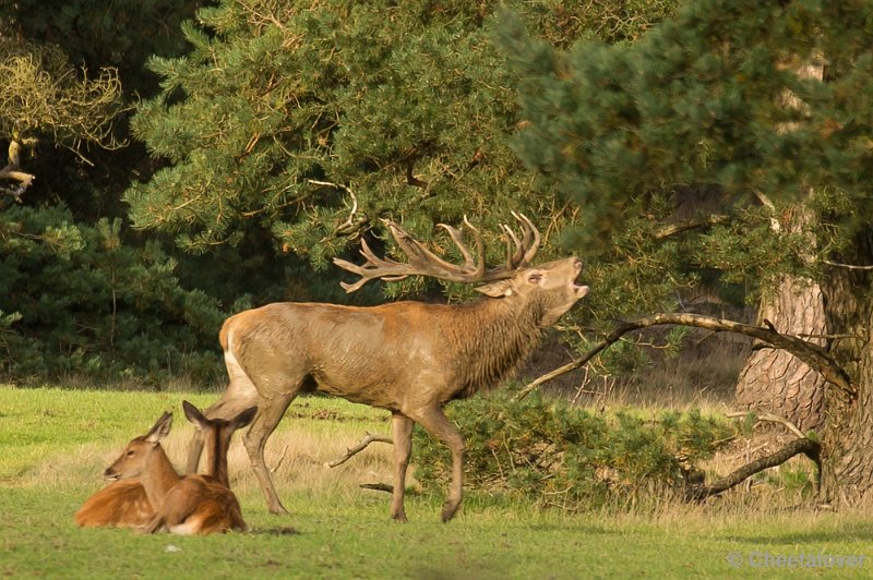 _DSC3026.JPG - Park de Hoge Veluwe, Bronstijd