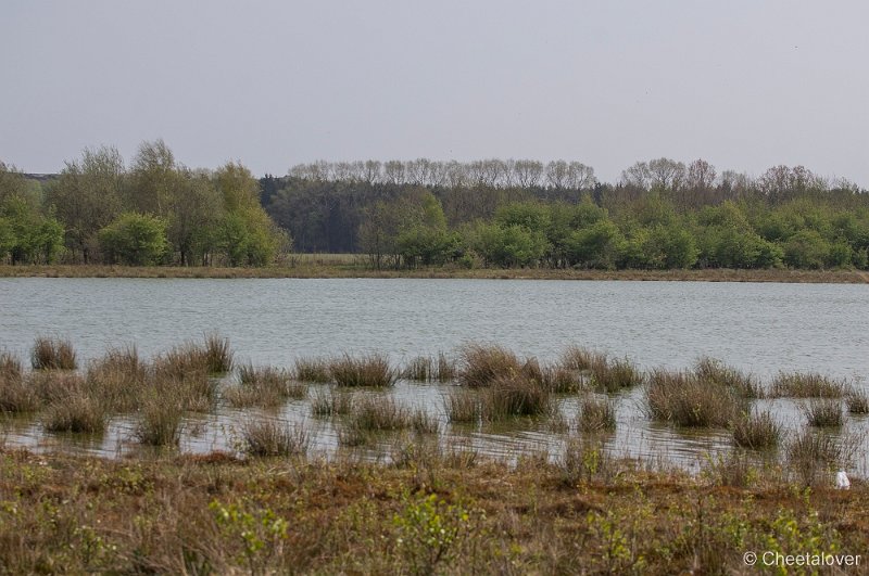 _DSC6657.JPG - Huis ter Heide