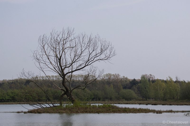 _DSC6664.JPG - Huis ter Heide