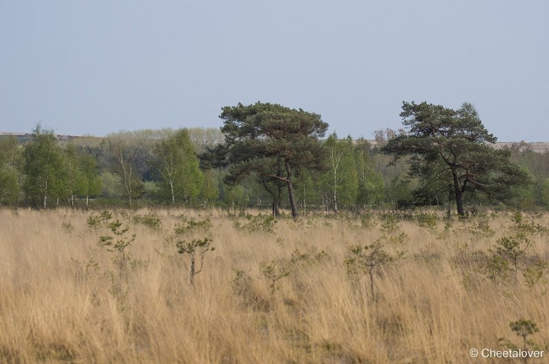 _DSC6752.JPG - Huis ter Heide