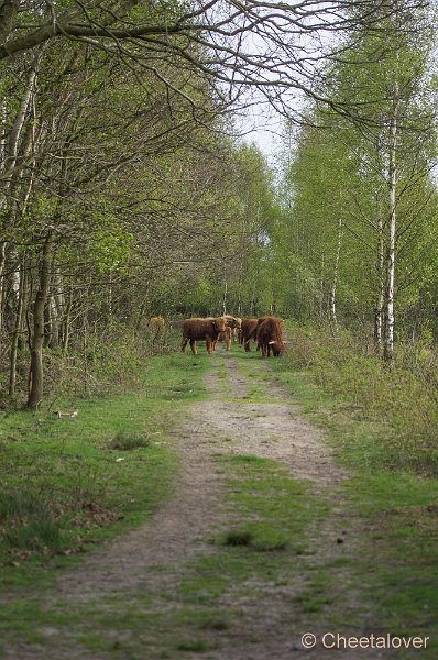 _DSC6781.JPG - Huis ter Heide