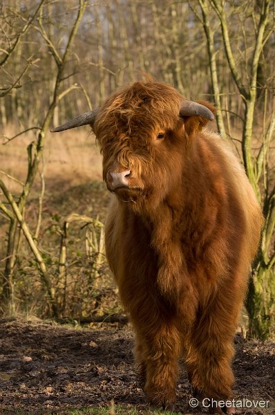 _DSC2024.JPG - Huis ter Heide