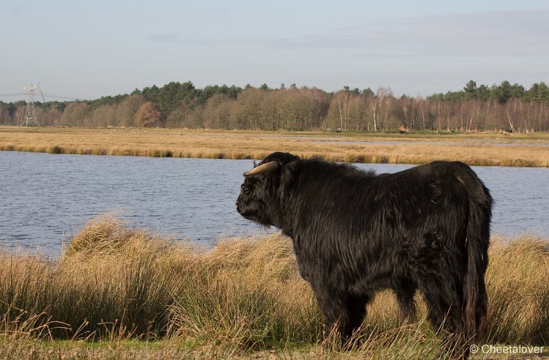 _DSC2046.JPG - Huis ter Heide