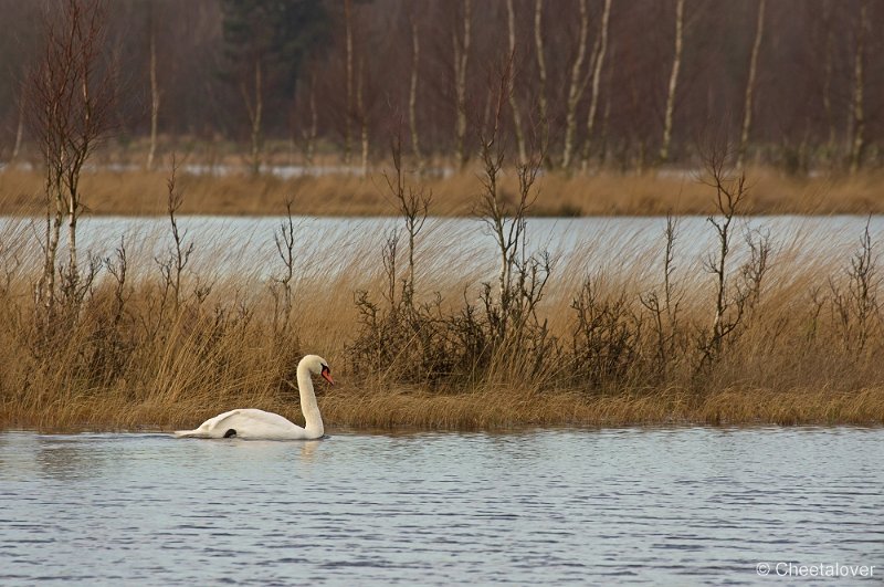 _DSC2070.JPG - Huis ter Heide