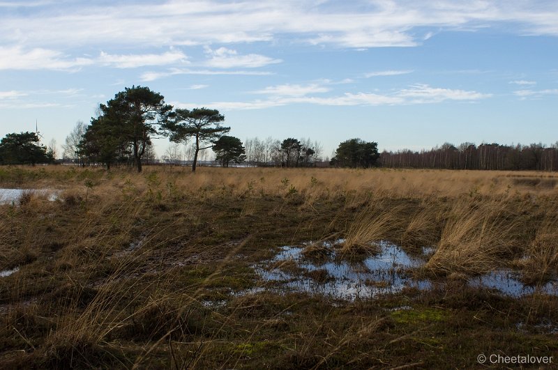 _DSC2084.JPG - Huis ter Heide