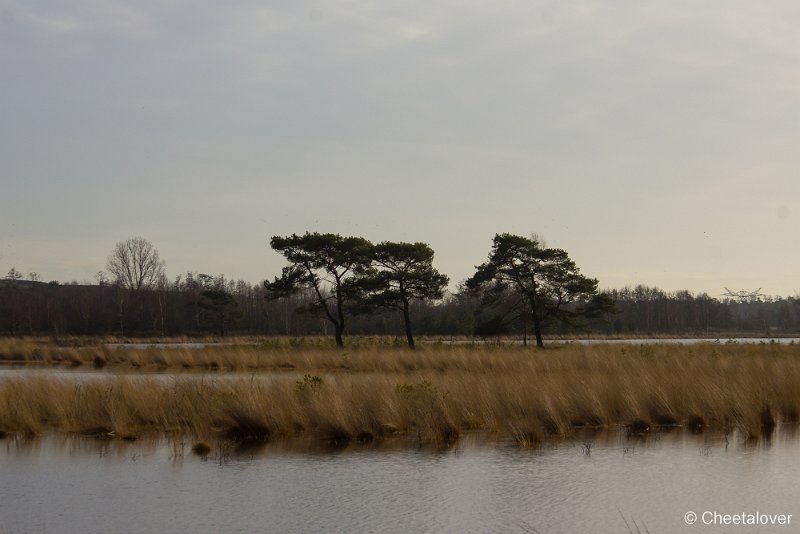 _DSC2089.JPG - Huis ter Heide