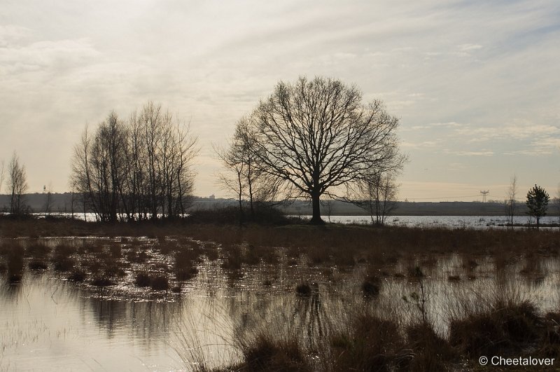 _DSC2090.JPG - Huis ter Heide