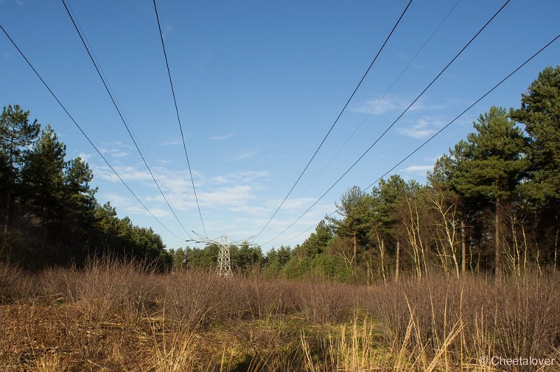 _DSC2097.JPG - Huis ter Heide