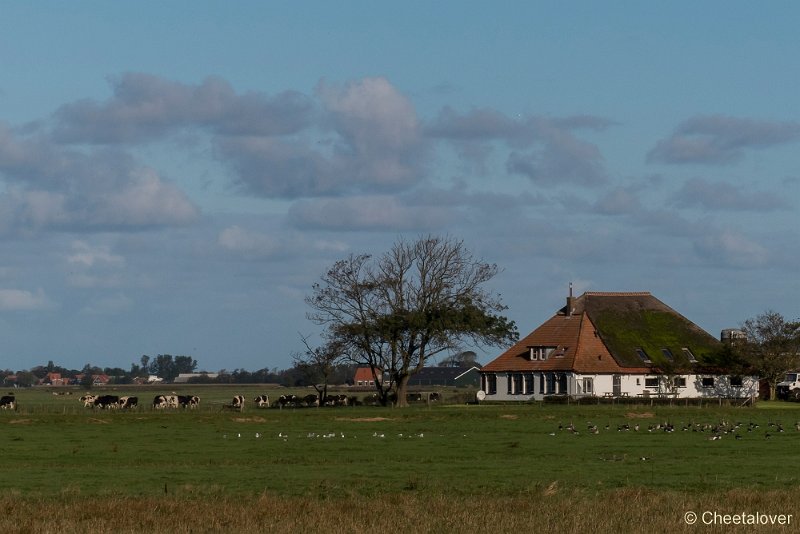 P1220518.JPG - Texel