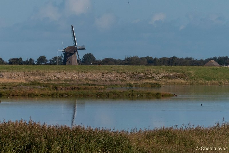 P1220528.JPG - Texel