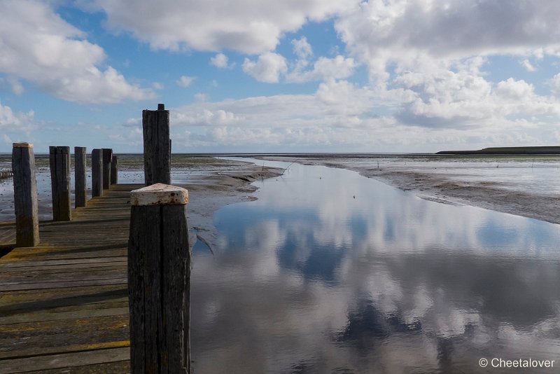 P1220569.JPG - Texel