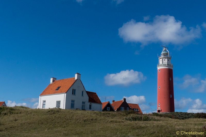 P1220580.JPG - Texel