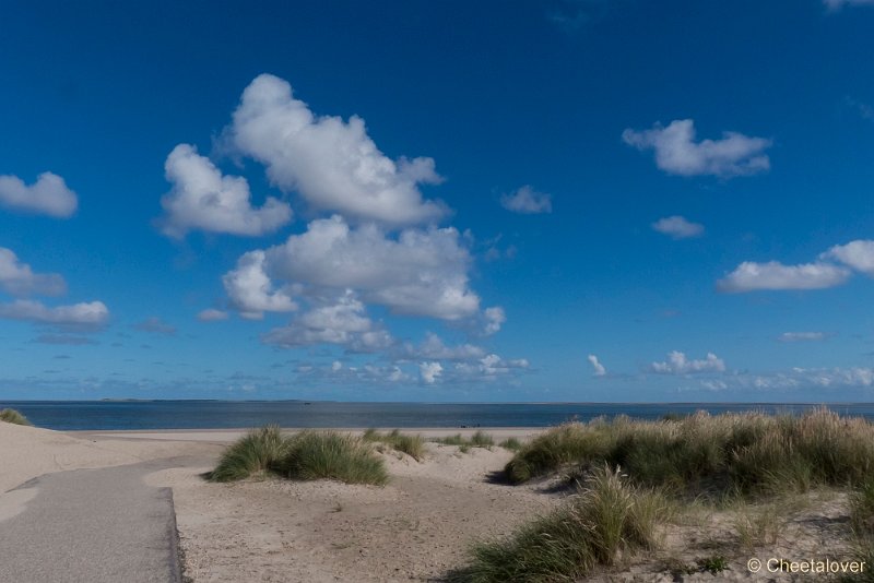 P1220582.JPG - Texel