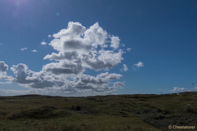 P1220590.JPG - Texel