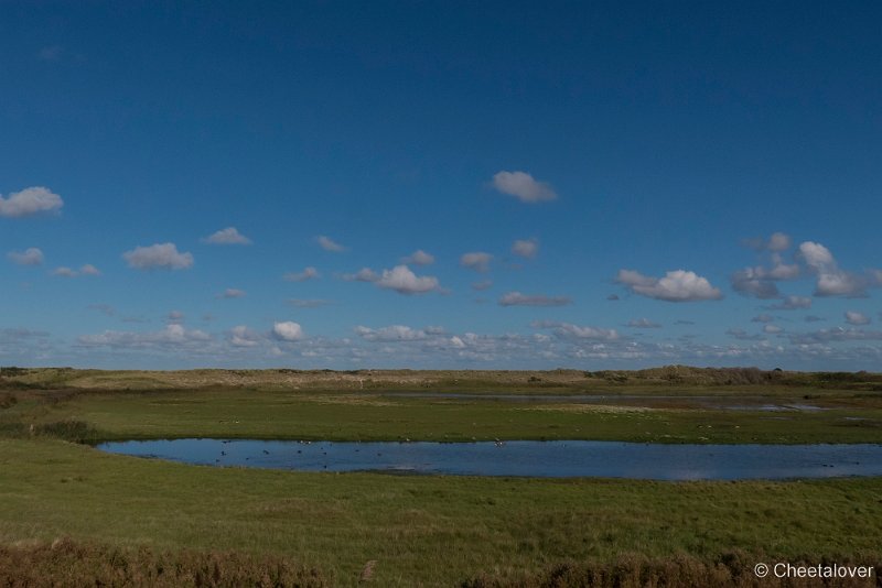 P1220637.JPG - Texel