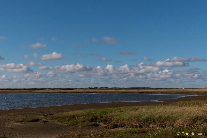 P1220663.JPG - Texel