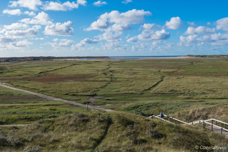 P1220674.JPG - Texel