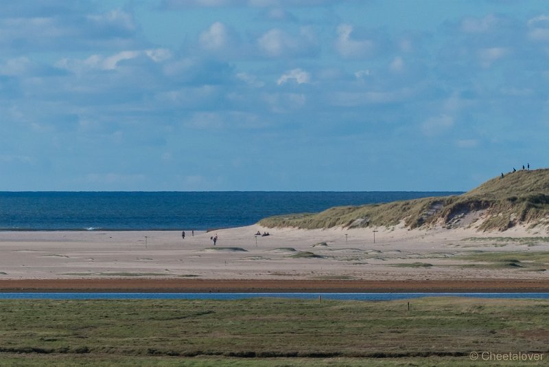 P1220676.JPG - Texel