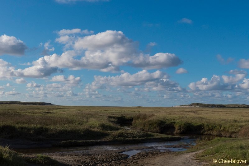 P1220690.JPG - Texel