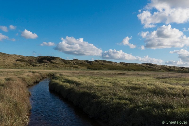 P1220692.JPG - Texel