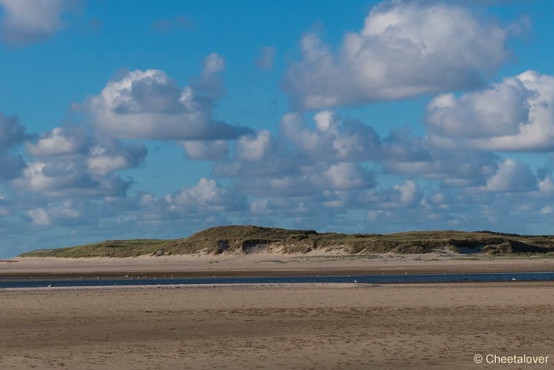 P1220701.JPG - Texel